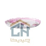 دیس سرامیکی بیضی بزرگ گلدکیش طرح Decal مدل GK617422 (2)