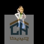 مجسمه دامپزشک گلدکیش طرح کمیک مدل 4864 (2)