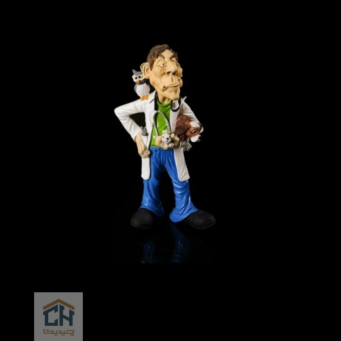 مجسمه دامپزشک گلدکیش طرح کمیک مدل 4864 (2)