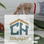 شکلات خوری بلور پایه دار طرح هرمی مدل 96388 - تصویر 2