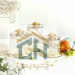 بانکه کوچک طرح شقایق مخصوص پذیرایی با درب استیل (1)