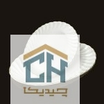 دیس بیضی کوچک خط طلا طرح کارمن مدل 503S (1)