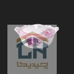 قابلمه سرامیکی بزرگ گلدکیش طرح Decal مدل GK611707 (1)