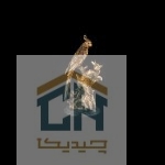 مجسمه طوطی گلدکیش طرح برنز مدل 4740 (2)