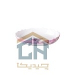 مرغ خوری سرامیکی بیضی کوچک گلدکیش طرح Decal مدل GK611265 (2)