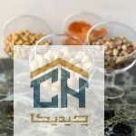 دسر خوری کوچک بلور طرح پوپ مدل 44009 (2)