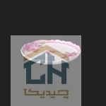 دیس سرامیکی گرد بزرگ گلدکیش طرح Decal مدل GK618215 (1)