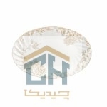 دیس چینی بیضی کوچک گلدکیش طرح Sarina مدل GK701141-6 (2)